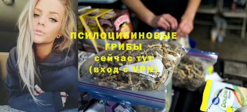 Псилоцибиновые грибы Magic Shrooms  Прохладный 